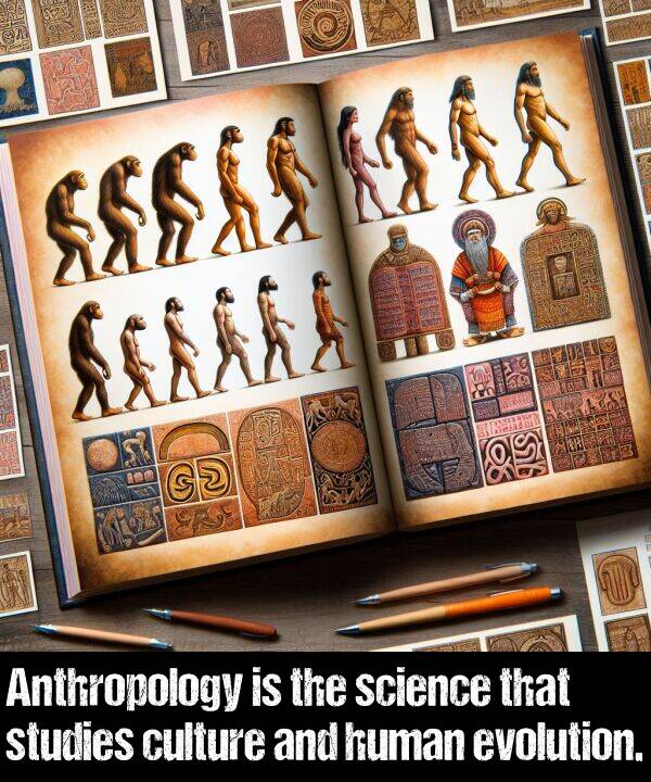 culture: Anthropology is the science that studies culture and human evolution.