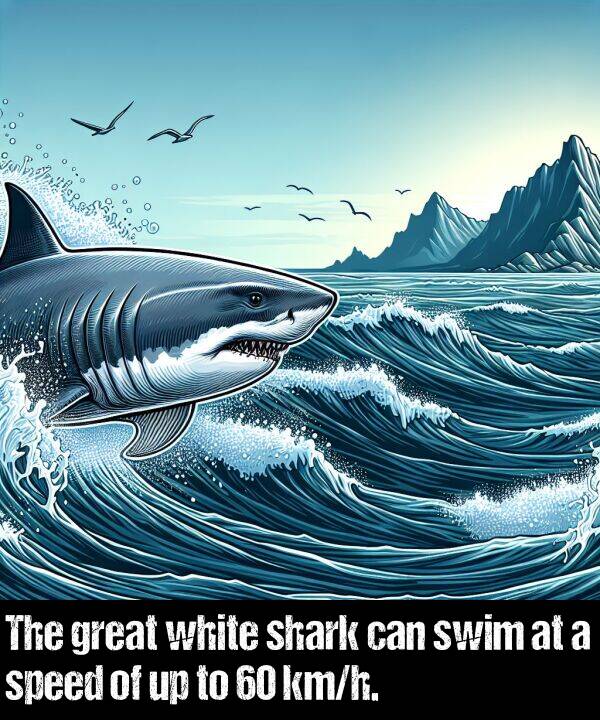 white: The great white shark can swim at a speed of up to 60 km/h.