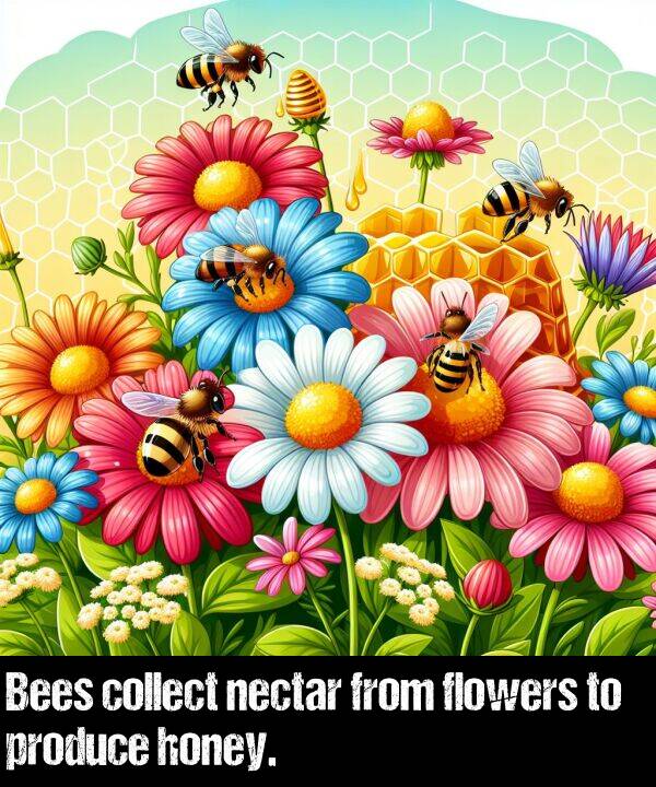 produce: Bees collect nectar from flowers to produce honey.