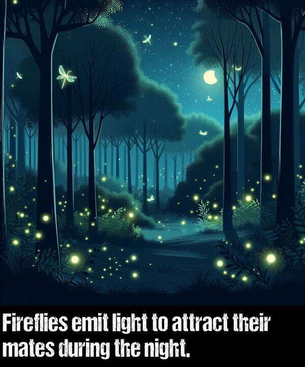 mates: Fireflies emit light to attract their mates during the night.