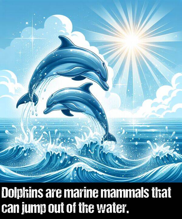 water: Dolphins are marine mammals that can jump out of the water.