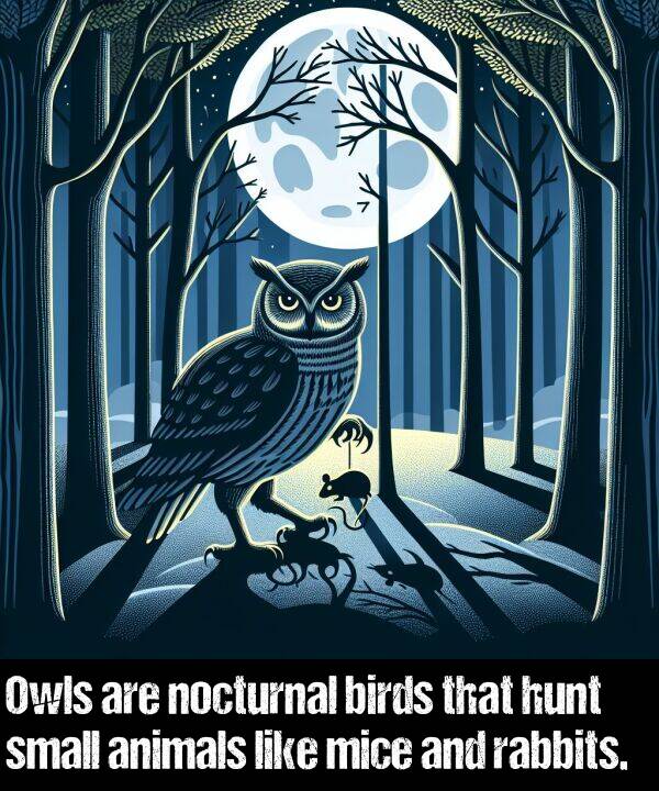 rabbits: Owls are nocturnal birds that hunt small animals like mice and rabbits.