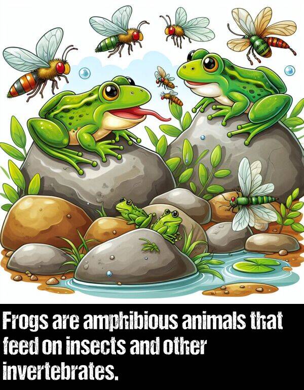 insects: Frogs are amphibious animals that feed on insects and other invertebrates.