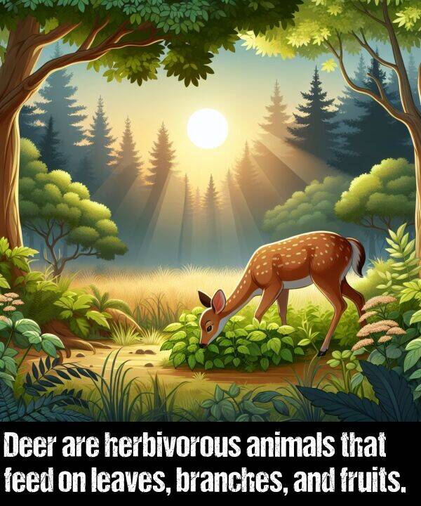 herbivorous: Deer are herbivorous animals that feed on leaves, branches, and fruits.