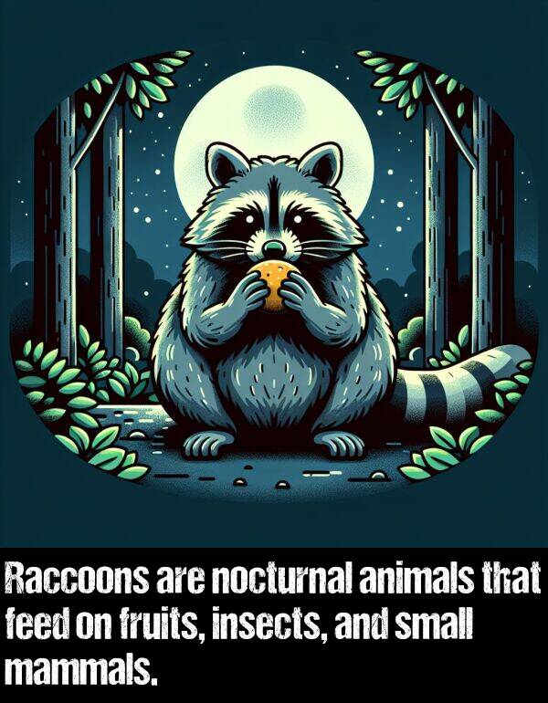 insects: Raccoons are nocturnal animals that feed on fruits, insects, and small mammals.