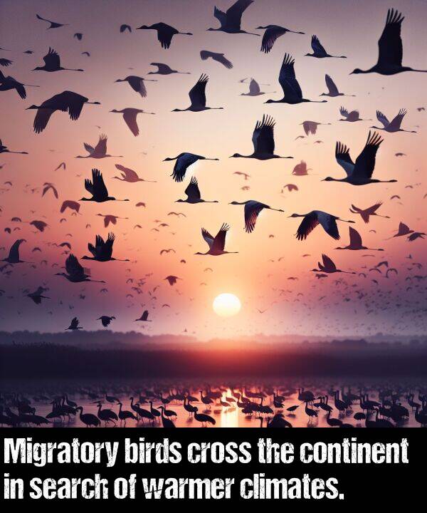 birds: Migratory birds cross the continent in search of warmer climates.