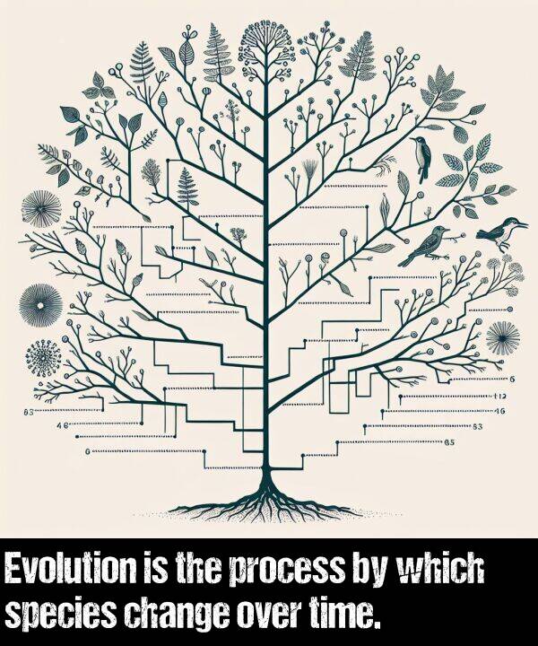 change: Evolution is the process by which species change over time.