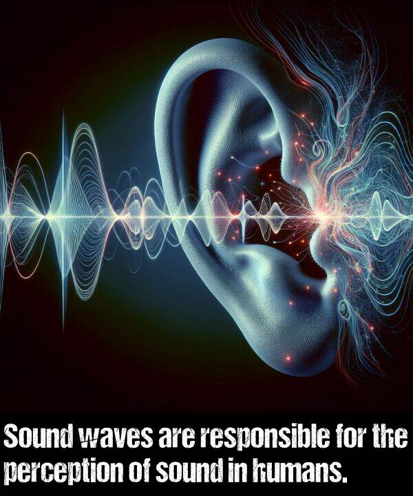 perception: Sound waves are responsible for the perception of sound in humans.