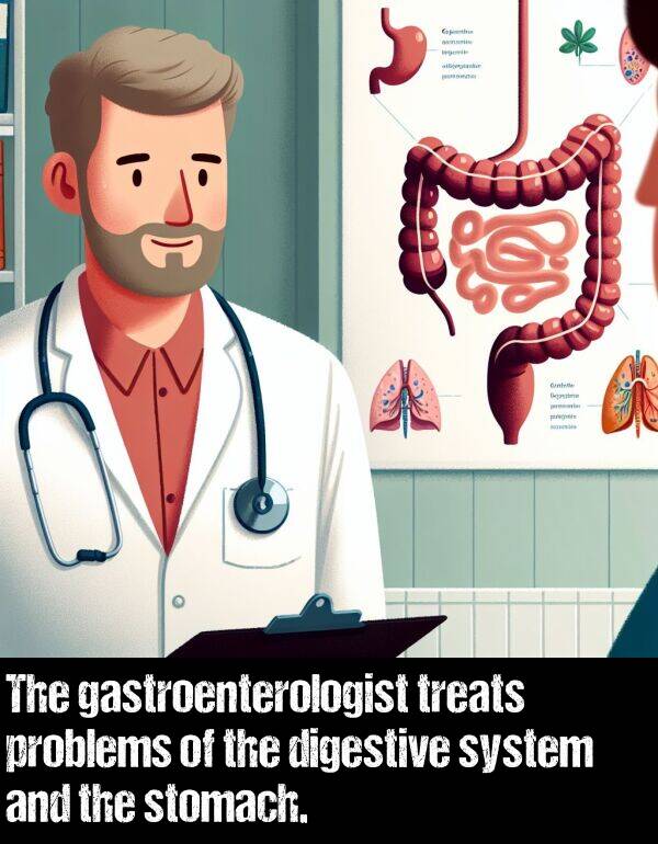 problems: The gastroenterologist treats problems of the digestive system and the stomach.