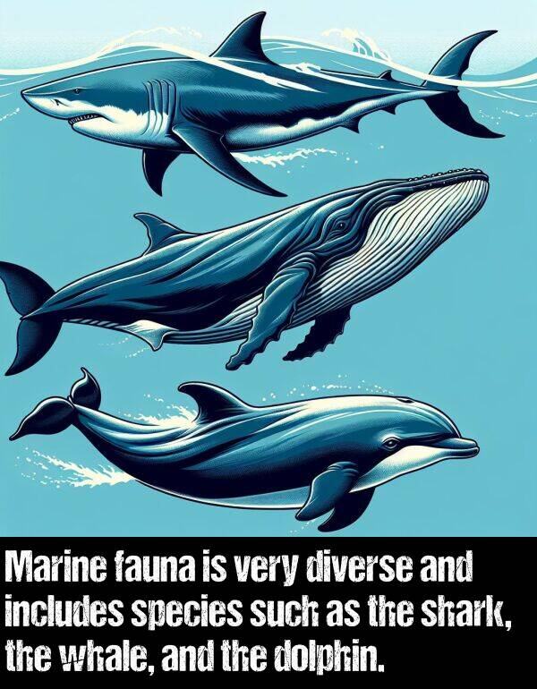 such: Marine fauna is very diverse and includes species such as the shark, the whale, and the dolphin.