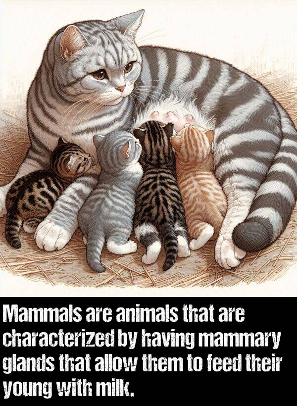 allow: Mammals are animals that are characterized by having mammary glands that allow them to feed their young with milk.