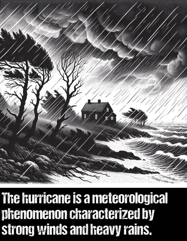 hurricane: The hurricane is a meteorological phenomenon characterized by strong winds and heavy rains.