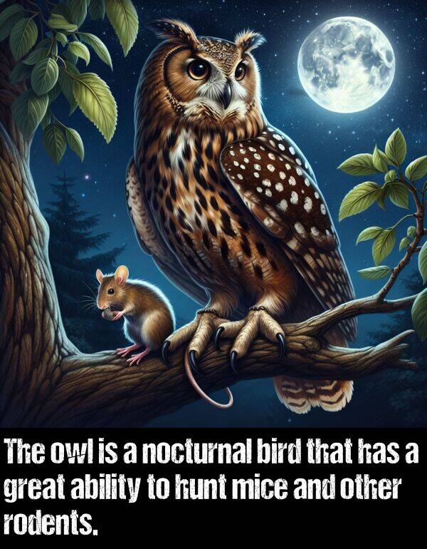 bird: The owl is a nocturnal bird that has a great ability to hunt mice and other rodents.