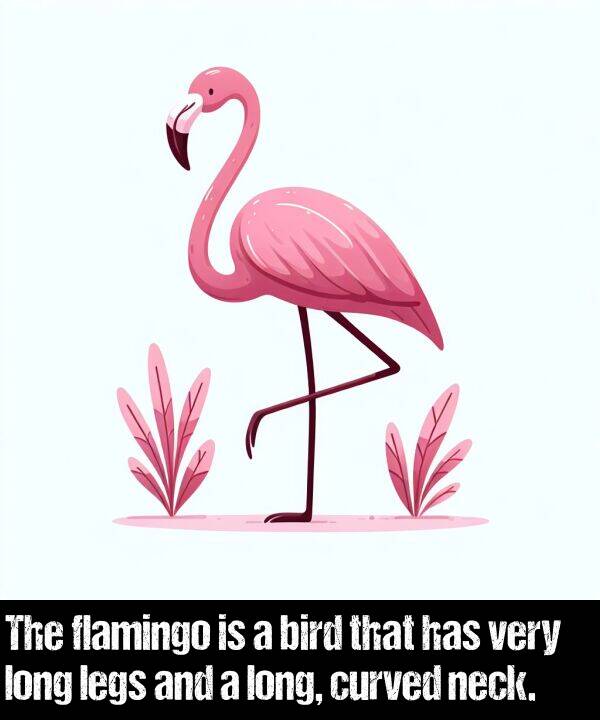 legs: The flamingo is a bird that has very long legs and a long, curved neck.