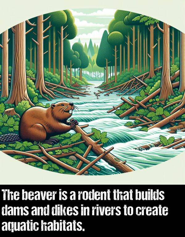 beaver: The beaver is a rodent that builds dams and dikes in rivers to create aquatic habitats.