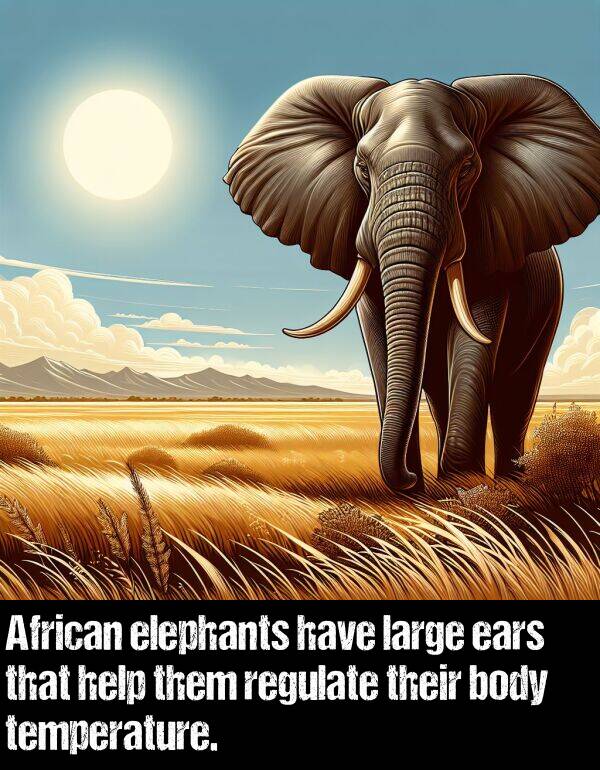 body: African elephants have large ears that help them regulate their body temperature.