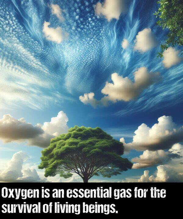 gas: Oxygen is an essential gas for the survival of living beings.