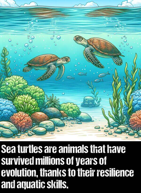 years: Sea turtles are animals that have survived millions of years of evolution, thanks to their resilience and aquatic skills.