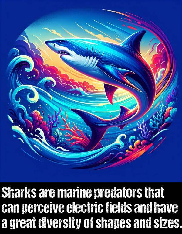 predators: Sharks are marine predators that can perceive electric fields and have a great diversity of shapes and sizes.