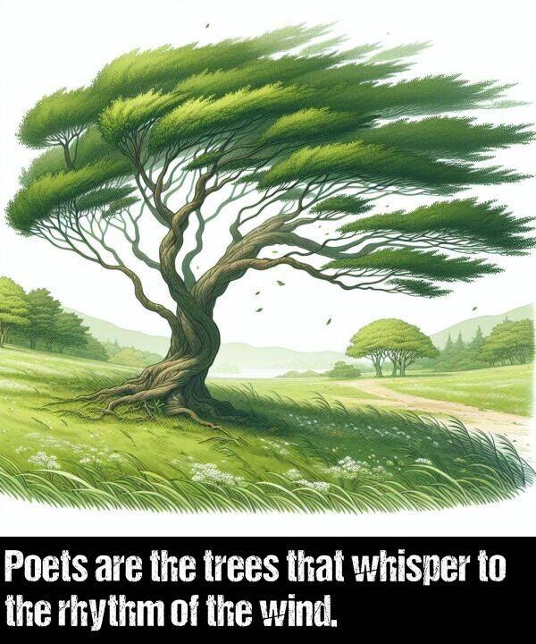 trees: Poets are the trees that whisper to the rhythm of the wind.