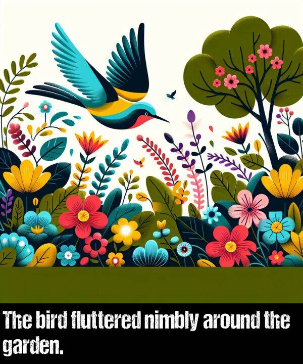 bird: The bird fluttered nimbly around the garden.