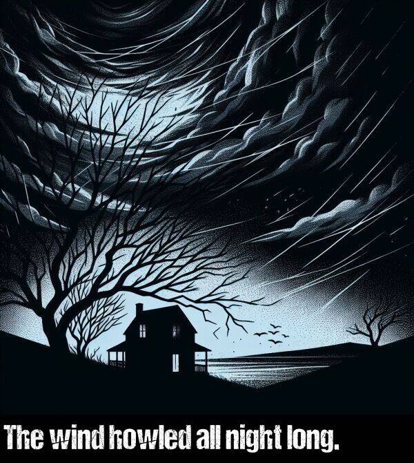 all: The wind howled all night long.