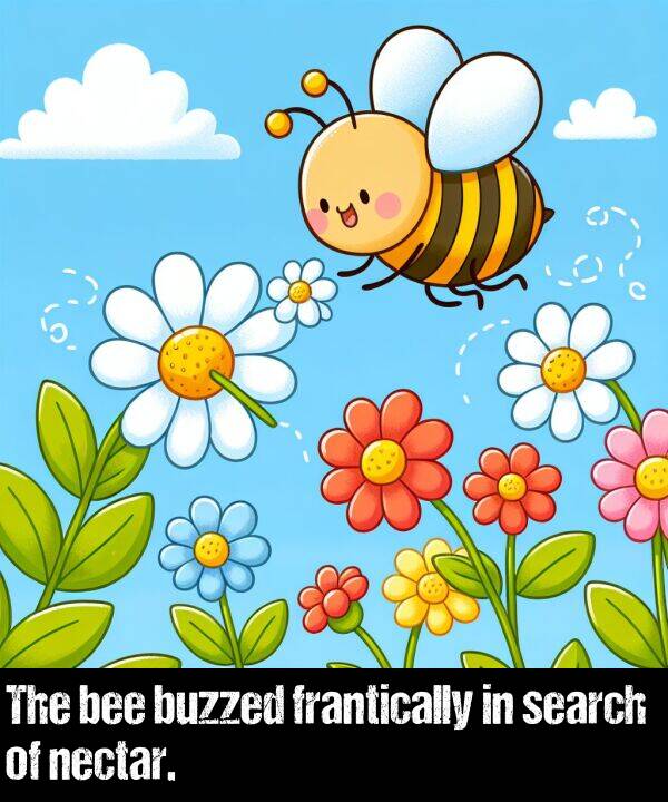 search: The bee buzzed frantically in search of nectar.