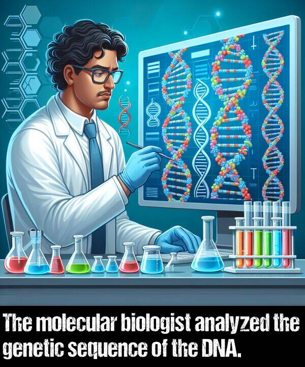 analyzed: The molecular biologist analyzed the genetic sequence of the DNA.