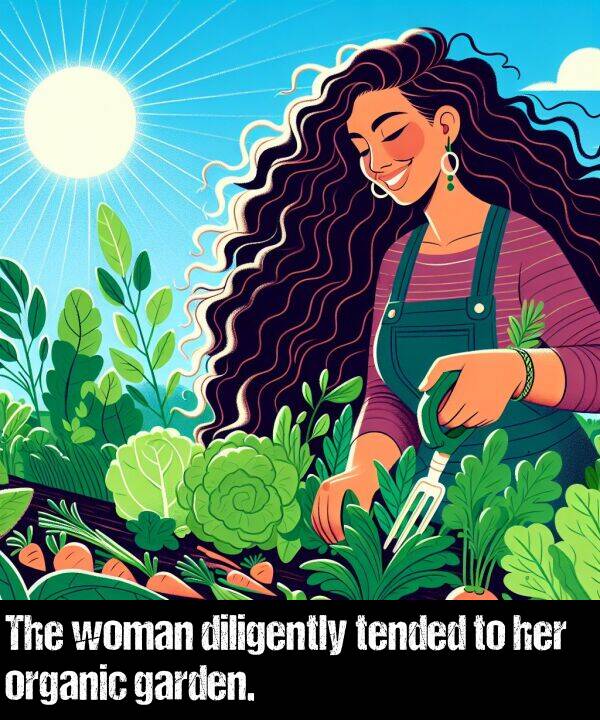 woman: The woman diligently tended to her organic garden.