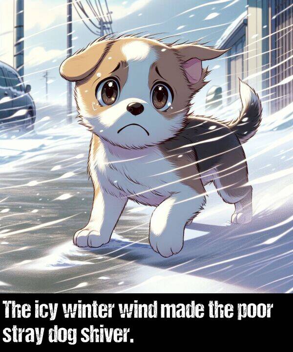 poor: The icy winter wind made the poor stray dog shiver.