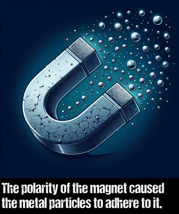 caused: The polarity of the magnet caused the metal particles to adhere to it.