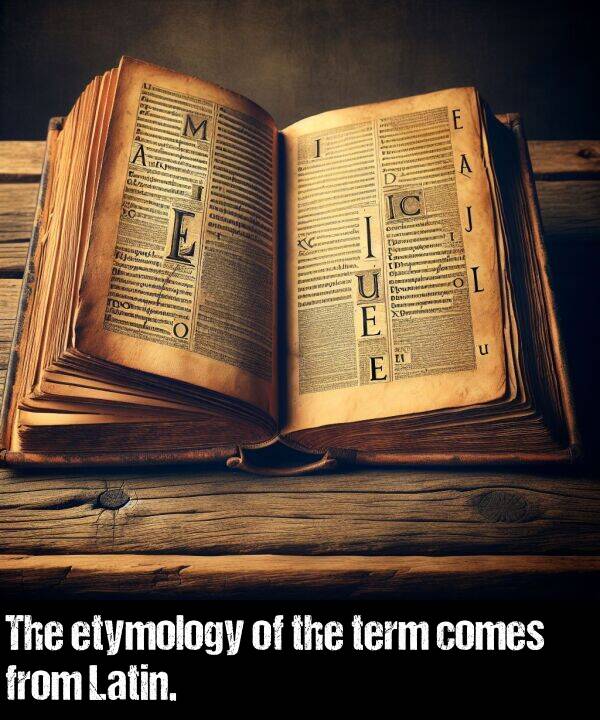 comes: The etymology of the term comes from Latin.