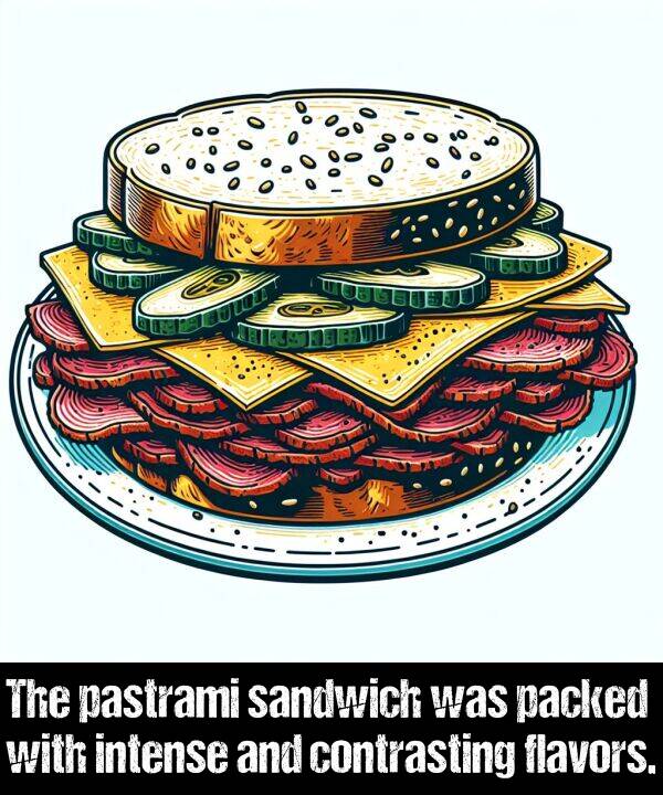 flavors: The pastrami sandwich was packed with intense and contrasting flavors.