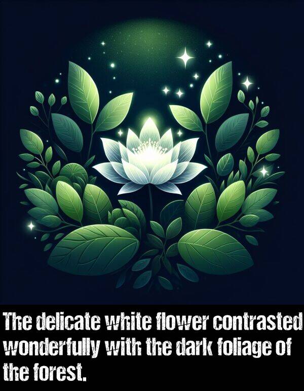 wonderfully: The delicate white flower contrasted wonderfully with the dark foliage of the forest.