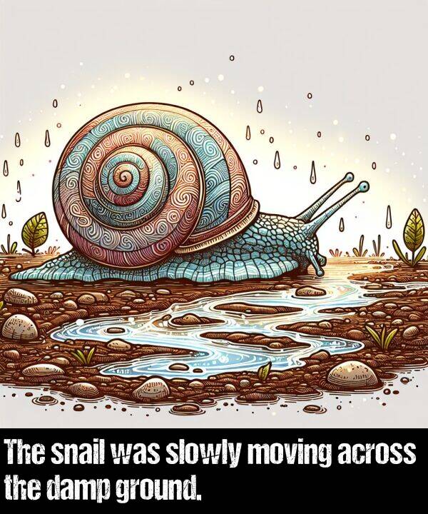 snail: The snail was slowly moving across the damp ground.