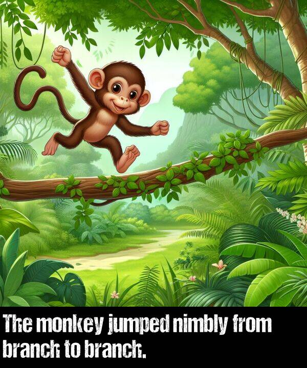 branch: The monkey jumped nimbly from branch to branch.