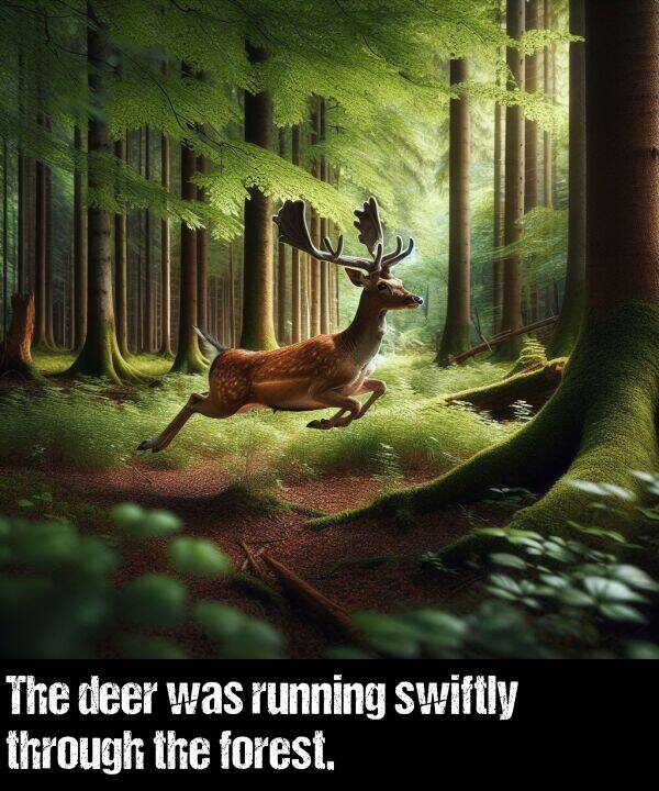 deer: The deer was running swiftly through the forest.