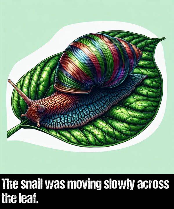 snail: The snail was moving slowly across the leaf.