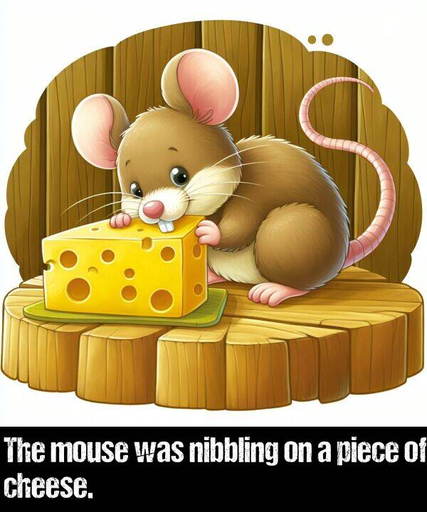 piece: The mouse was nibbling on a piece of cheese.