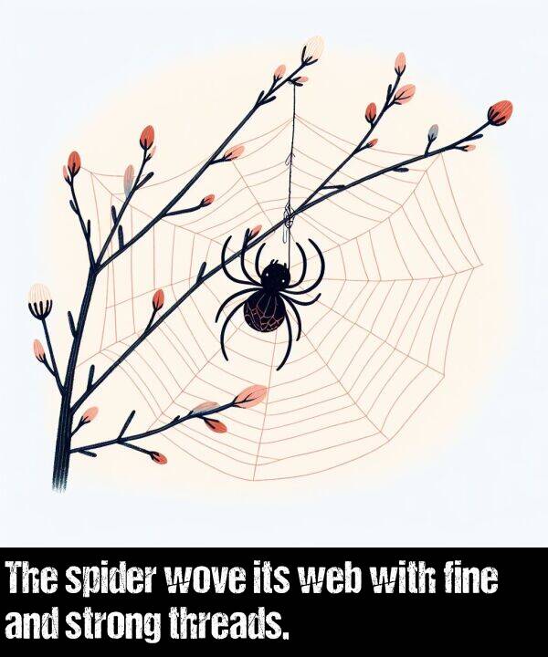 wove: The spider wove its web with fine and strong threads.