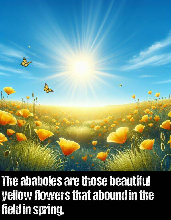 yellow: The ababoles are those beautiful yellow flowers that abound in the field in spring.