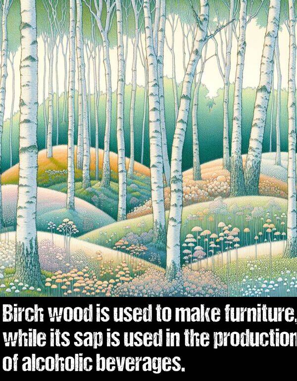 beverages: Birch wood is used to make furniture, while its sap is used in the production of alcoholic beverages.