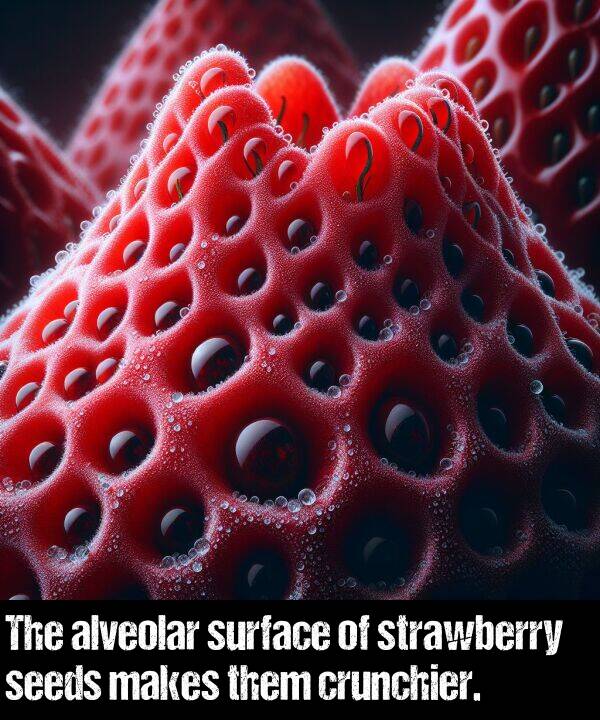 them: The alveolar surface of strawberry seeds makes them crunchier.