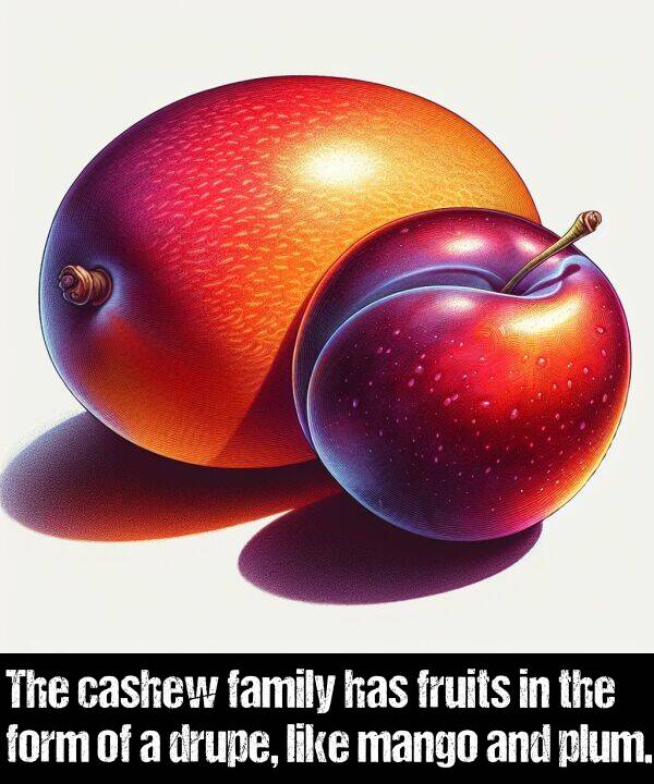 family: The cashew family has fruits in the form of a drupe, like mango and plum.