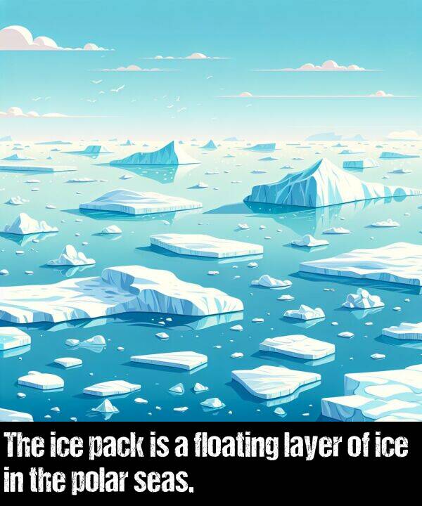 polar: The ice pack is a floating layer of ice in the polar seas.