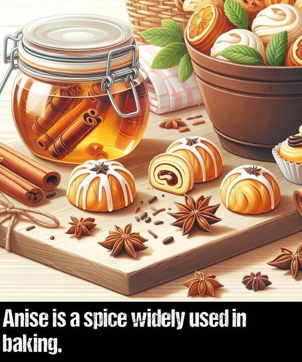 baking: Anise is a spice widely used in baking.