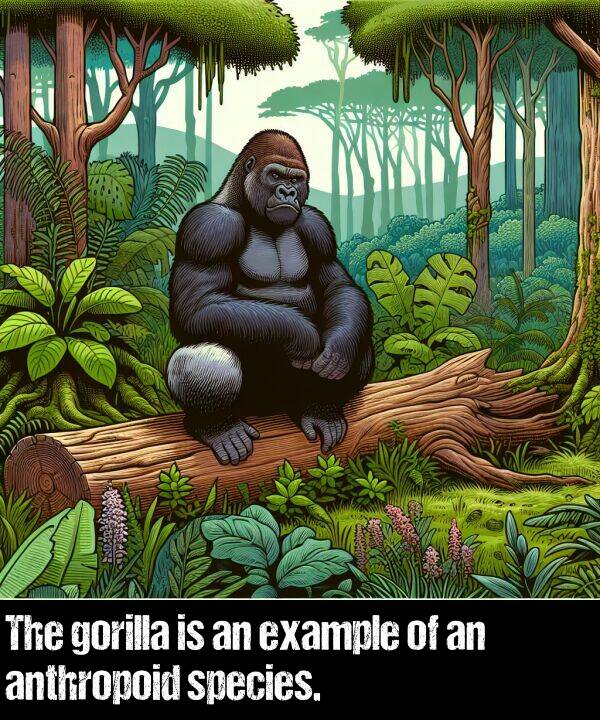 example: The gorilla is an example of an anthropoid species.