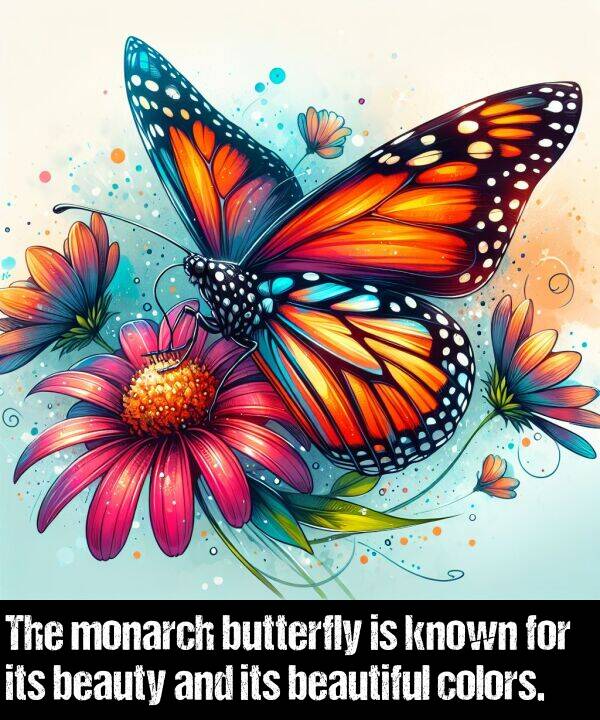 colors: The monarch butterfly is known for its beauty and its beautiful colors.