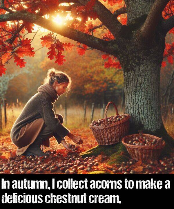 delicious: In autumn, I collect acorns to make a delicious chestnut cream.