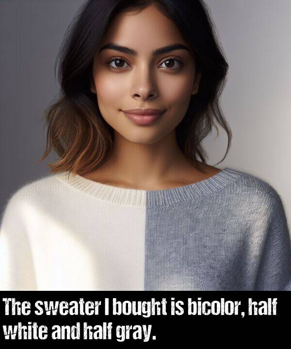 bicolor: The sweater I bought is bicolor, half white and half gray.